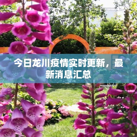 今日龍川疫情實時更新，最新消息匯總