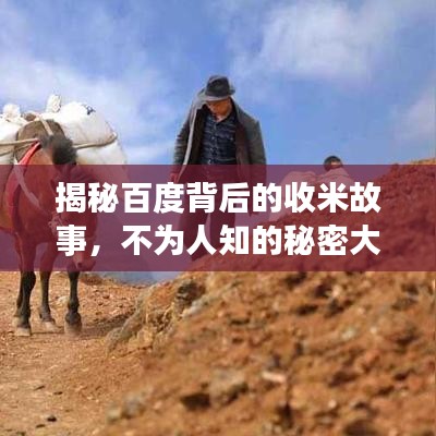 揭秘百度背后的收米故事，不為人知的秘密大揭秘！