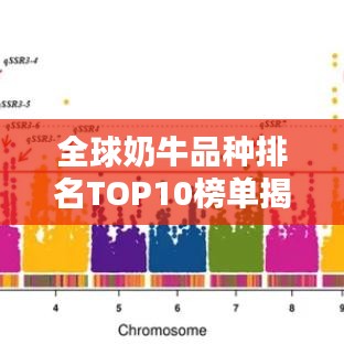 全球奶牛品種排名TOP10榜單揭曉