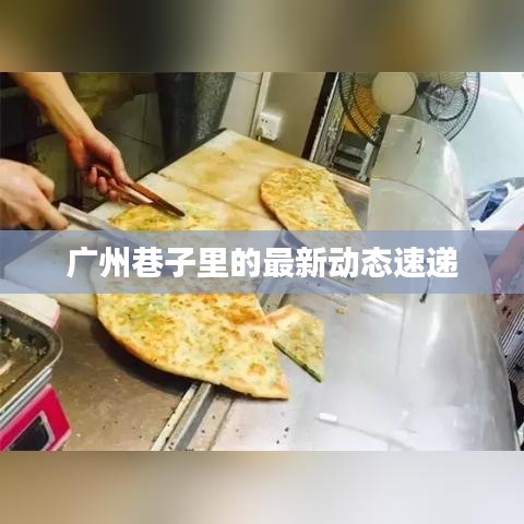廣州巷子里的最新動(dòng)態(tài)速遞