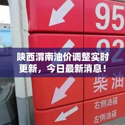 陜西渭南油價調(diào)整實時更新，今日最新消息！