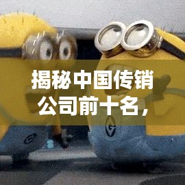 揭秘中國(guó)傳銷公司前十名，警示風(fēng)險(xiǎn)，遠(yuǎn)離陷阱！