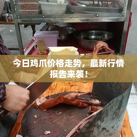 今日雞爪價(jià)格走勢(shì)，最新行情報(bào)告來(lái)襲！