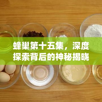 蜂巢第十五集，深度探索背后的神秘揭曉之旅