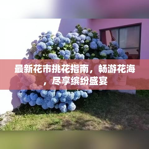 最新花市挑花指南，暢游花海，盡享繽紛盛宴