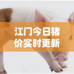 江門今日豬價(jià)實(shí)時(shí)更新，最新行情查詢