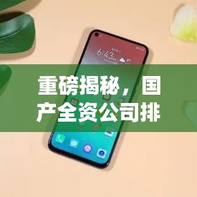 重磅揭秘，國產(chǎn)全資公司排名及影響力深度剖析