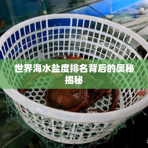 世界海水鹽度排名背后的奧秘揭秘