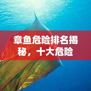 章魚危險排名揭秘，十大危險品種上榜