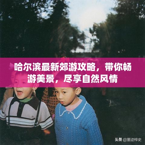 哈爾濱最新郊游攻略，帶你暢游美景，盡享自然風(fēng)情