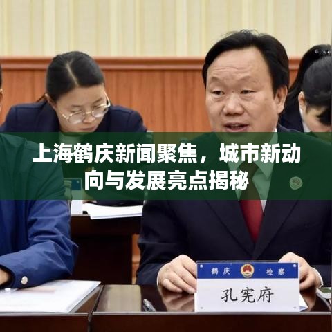 上海鶴慶新聞聚焦，城市新動(dòng)向與發(fā)展亮點(diǎn)揭秘