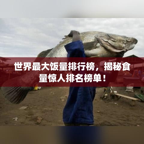 世界最大飯量排行榜，揭秘食量驚人排名榜單！