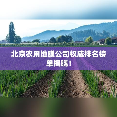 北京農(nóng)用地膜公司權(quán)威排名榜單揭曉！