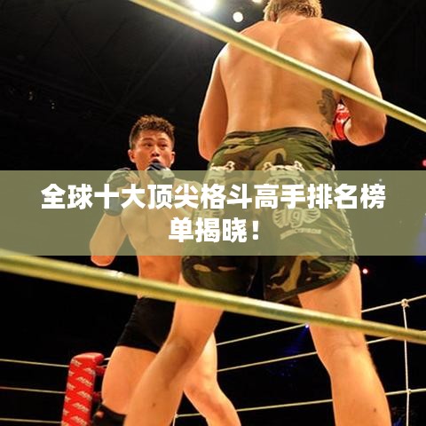 全球十大頂尖格斗高手排名榜單揭曉！