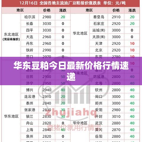華東豆粕今日最新價格行情速遞