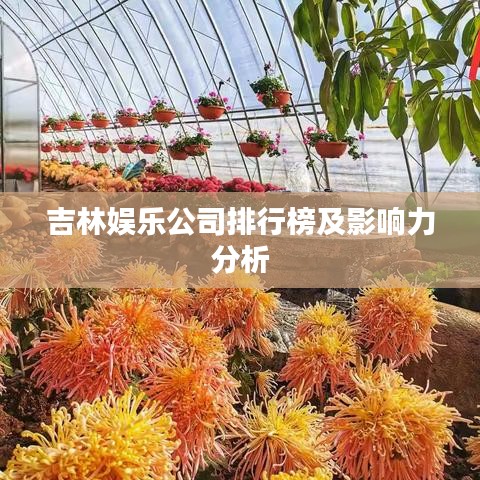 吉林娛樂公司排行榜及影響力分析