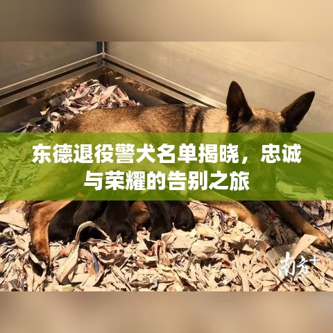 聯(lián)系我們 第9頁(yè)